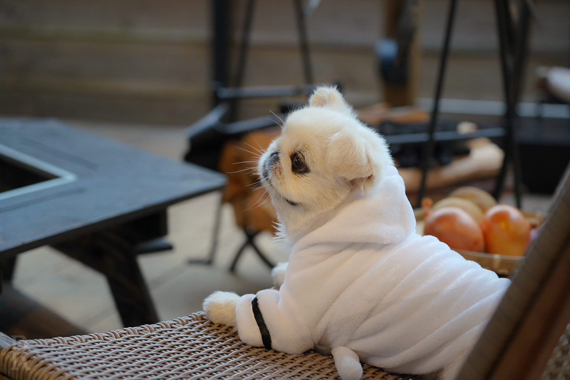 Bathrobes and yukata make you feel like you're in a hot spring